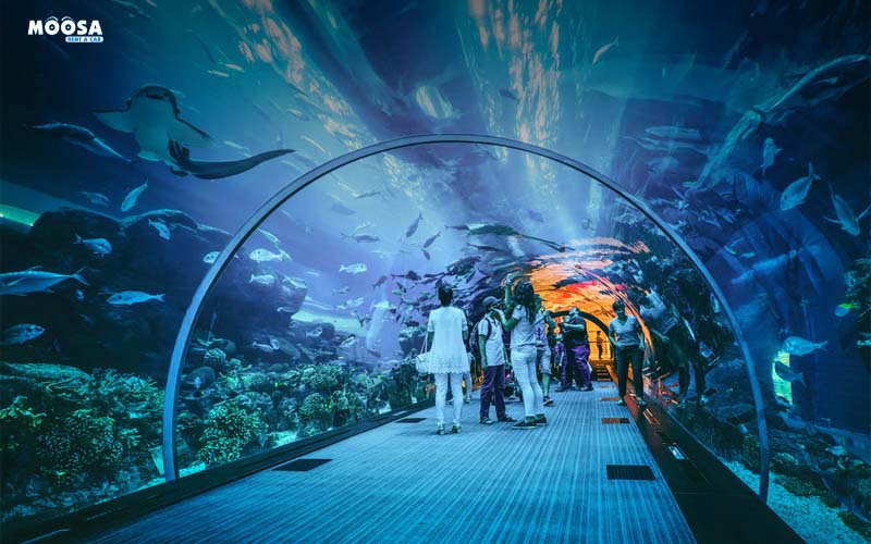 Dubai Aquarium Underwater Zoo